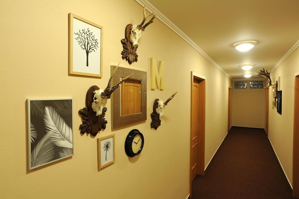 Wellness Penzion Jarmilka Bedřichov Exterior foto